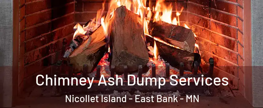 Chimney Ash Dump Services Nicollet Island - East Bank - MN