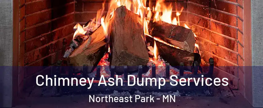 Chimney Ash Dump Services Northeast Park - MN