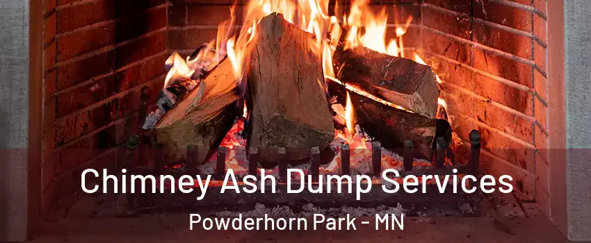Chimney Ash Dump Services Powderhorn Park - MN