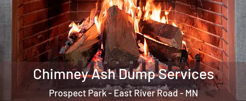 Chimney Ash Dump Services Prospect Park - East River Road - MN