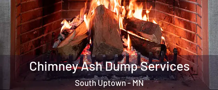 Chimney Ash Dump Services South Uptown - MN
