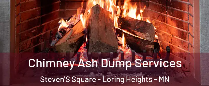 Chimney Ash Dump Services Steven'S Square - Loring Heights - MN