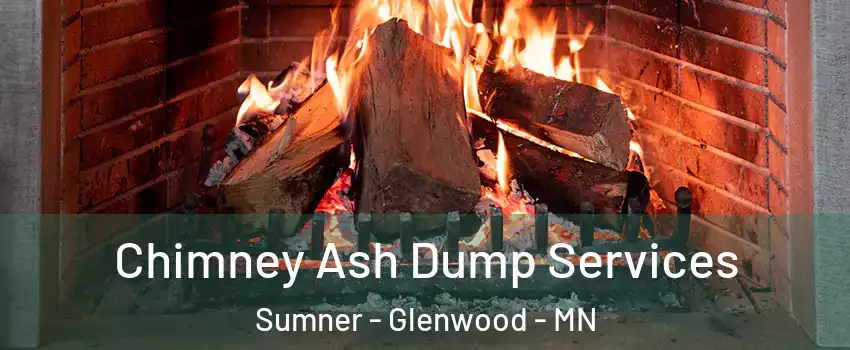 Chimney Ash Dump Services Sumner - Glenwood - MN