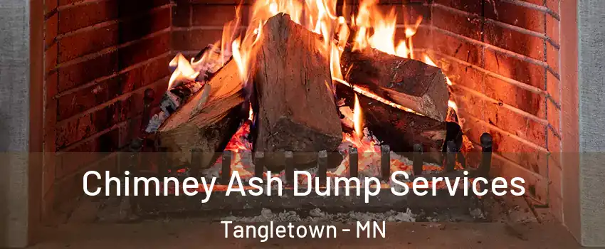 Chimney Ash Dump Services Tangletown - MN