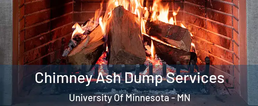 Chimney Ash Dump Services University Of Minnesota - MN