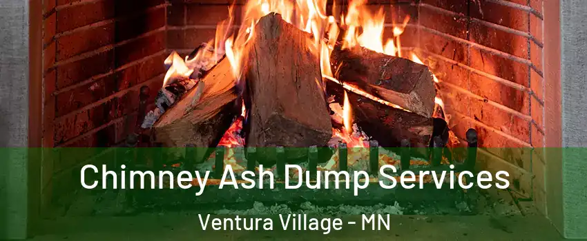 Chimney Ash Dump Services Ventura Village - MN