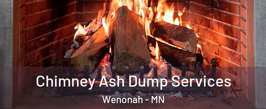 Chimney Ash Dump Services Wenonah - MN
