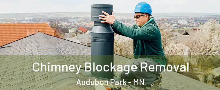 Chimney Blockage Removal Audubon Park - MN