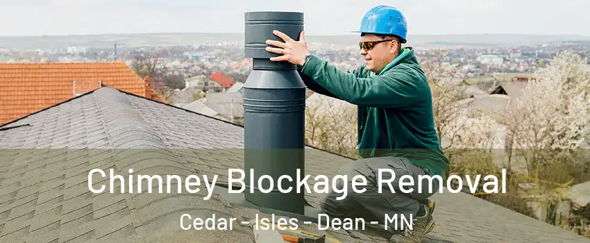 Chimney Blockage Removal Cedar - Isles - Dean - MN