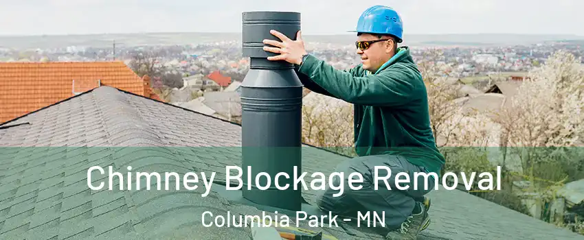 Chimney Blockage Removal Columbia Park - MN
