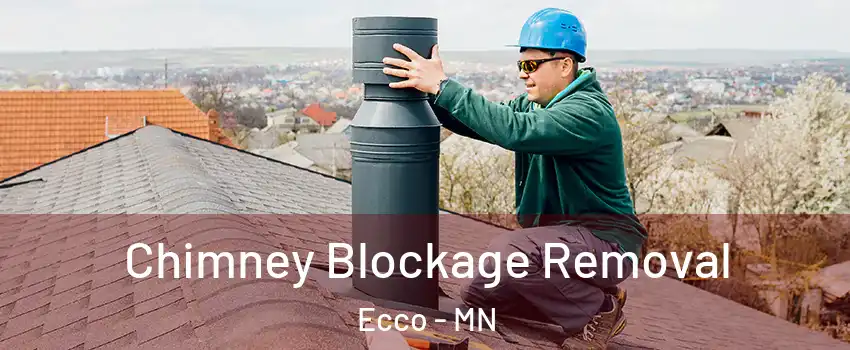 Chimney Blockage Removal Ecco - MN
