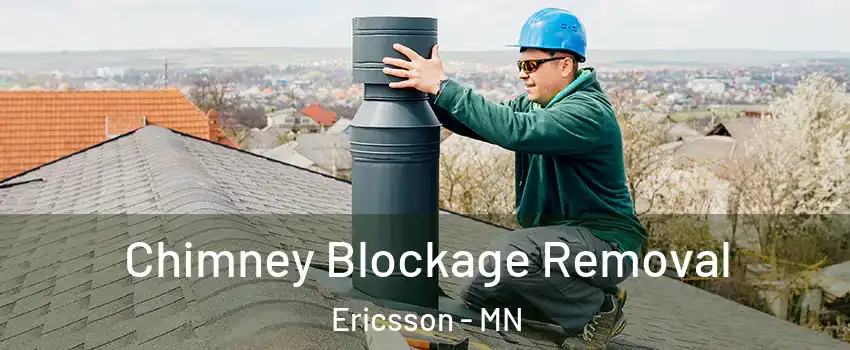 Chimney Blockage Removal Ericsson - MN