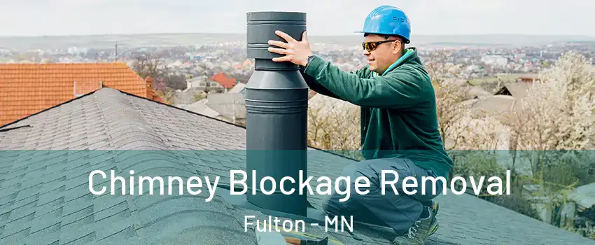 Chimney Blockage Removal Fulton - MN