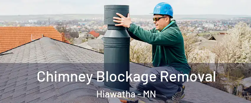 Chimney Blockage Removal Hiawatha - MN
