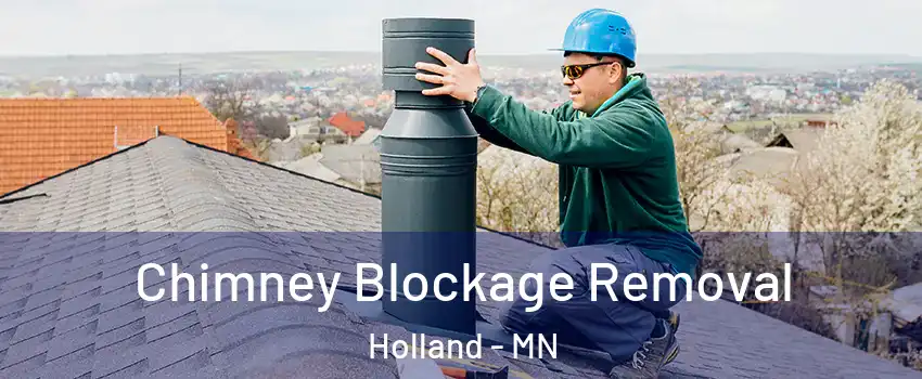 Chimney Blockage Removal Holland - MN