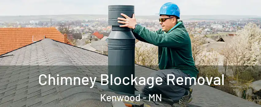 Chimney Blockage Removal Kenwood - MN