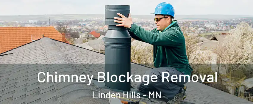 Chimney Blockage Removal Linden Hills - MN