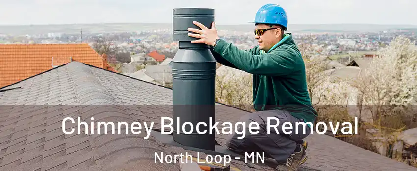 Chimney Blockage Removal North Loop - MN