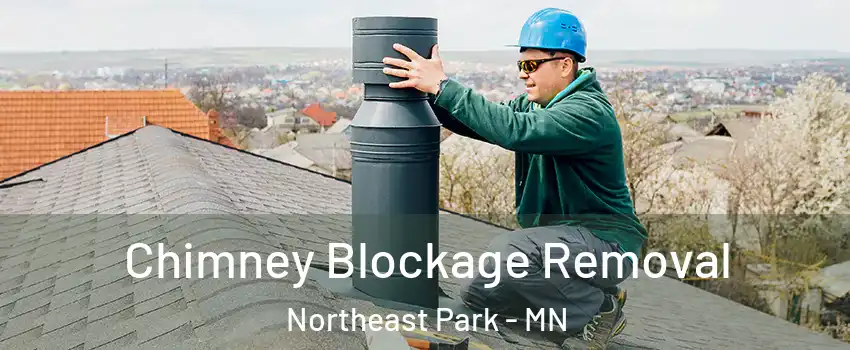 Chimney Blockage Removal Northeast Park - MN