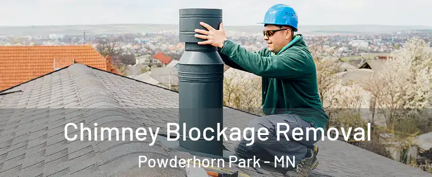 Chimney Blockage Removal Powderhorn Park - MN