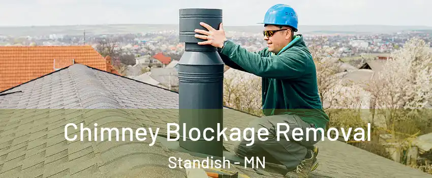 Chimney Blockage Removal Standish - MN