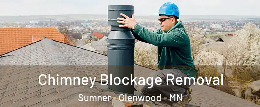 Chimney Blockage Removal Sumner - Glenwood - MN
