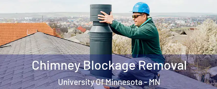 Chimney Blockage Removal University Of Minnesota - MN
