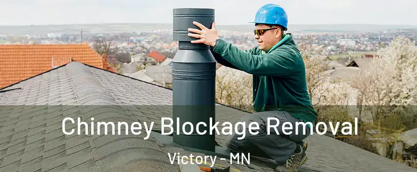 Chimney Blockage Removal Victory - MN
