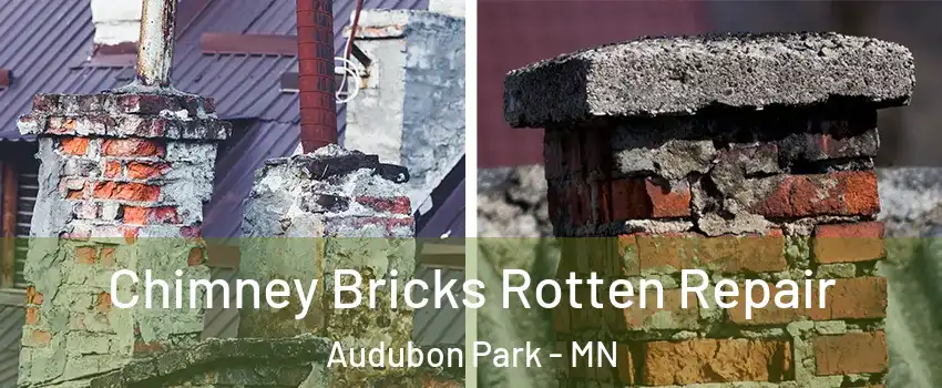 Chimney Bricks Rotten Repair Audubon Park - MN
