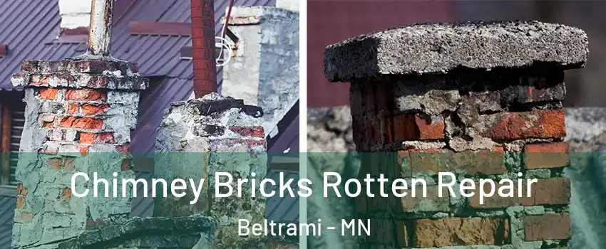 Chimney Bricks Rotten Repair Beltrami - MN