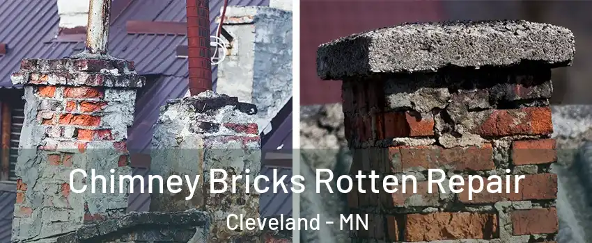 Chimney Bricks Rotten Repair Cleveland - MN