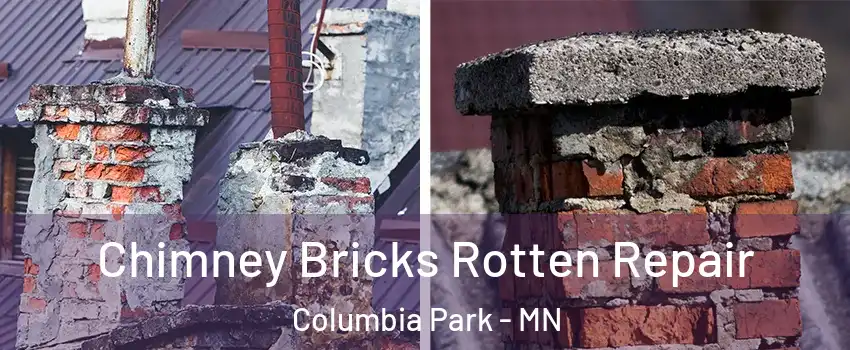 Chimney Bricks Rotten Repair Columbia Park - MN