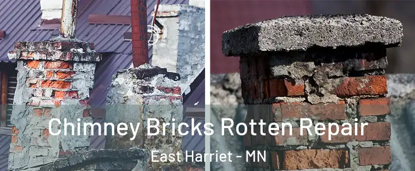 Chimney Bricks Rotten Repair East Harriet - MN