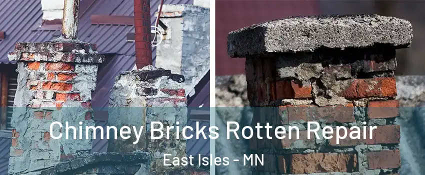 Chimney Bricks Rotten Repair East Isles - MN