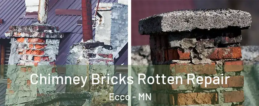 Chimney Bricks Rotten Repair Ecco - MN