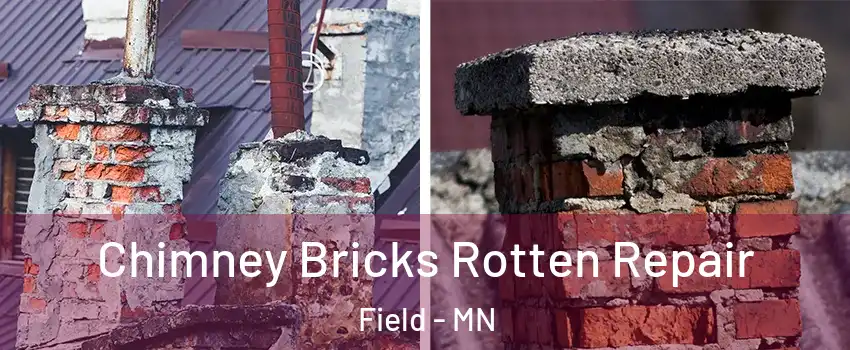 Chimney Bricks Rotten Repair Field - MN