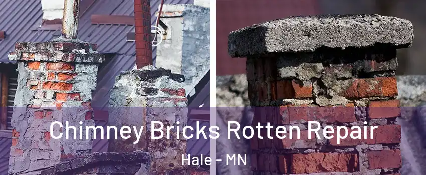 Chimney Bricks Rotten Repair Hale - MN