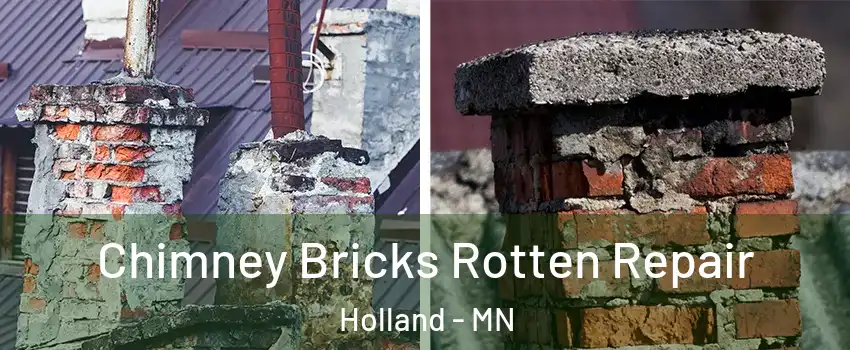 Chimney Bricks Rotten Repair Holland - MN