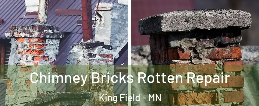 Chimney Bricks Rotten Repair King Field - MN