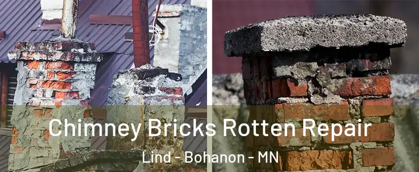 Chimney Bricks Rotten Repair Lind - Bohanon - MN