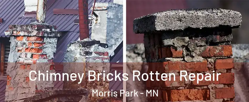 Chimney Bricks Rotten Repair Morris Park - MN