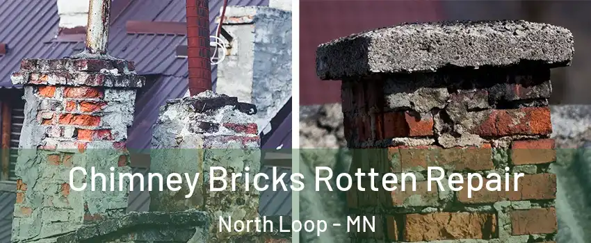 Chimney Bricks Rotten Repair North Loop - MN