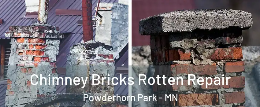 Chimney Bricks Rotten Repair Powderhorn Park - MN