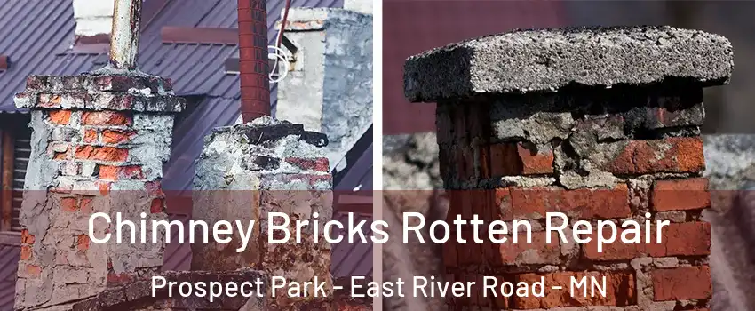 Chimney Bricks Rotten Repair Prospect Park - East River Road - MN