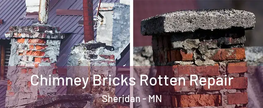 Chimney Bricks Rotten Repair Sheridan - MN