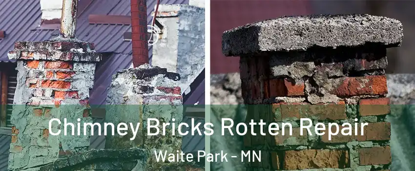 Chimney Bricks Rotten Repair Waite Park - MN