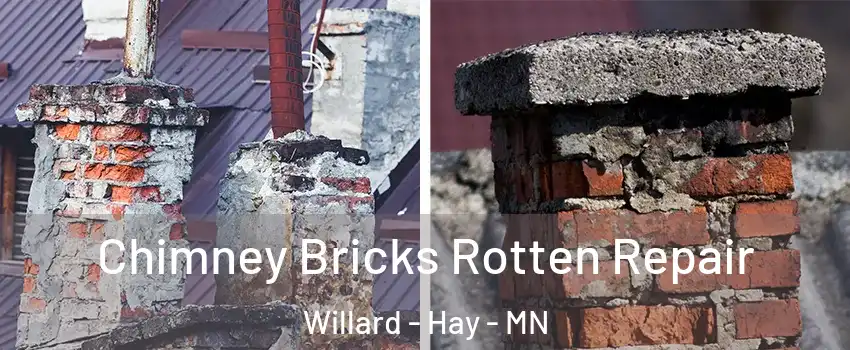 Chimney Bricks Rotten Repair Willard - Hay - MN