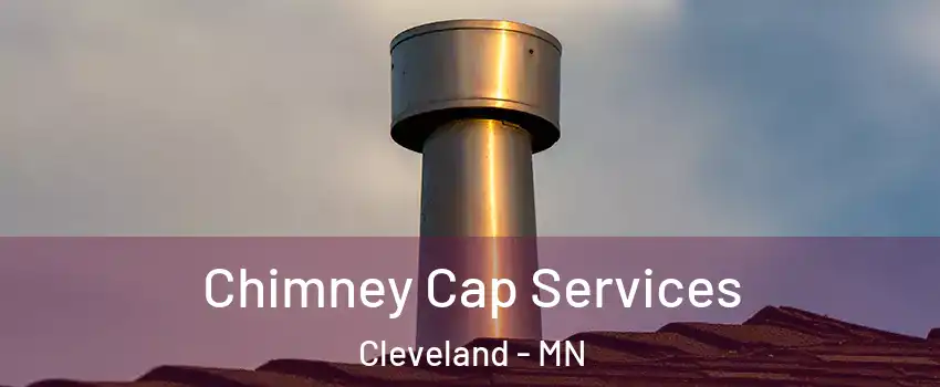 Chimney Cap Services Cleveland - MN
