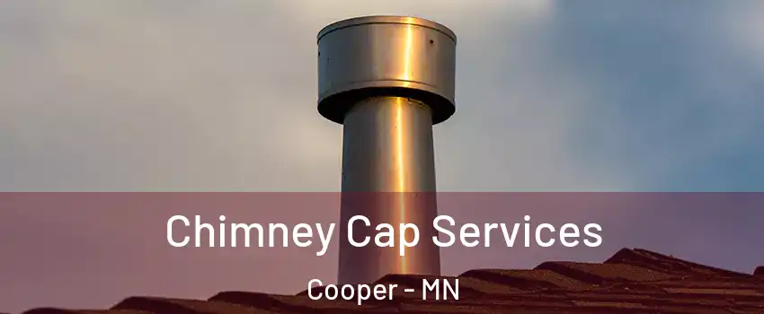 Chimney Cap Services Cooper - MN