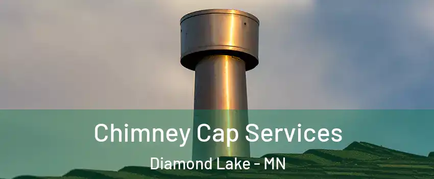 Chimney Cap Services Diamond Lake - MN